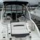 Chaparral Sunesta 264 | Kiwi