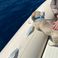 Oceanic 600 | Alia