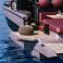Cranchi 32 | New