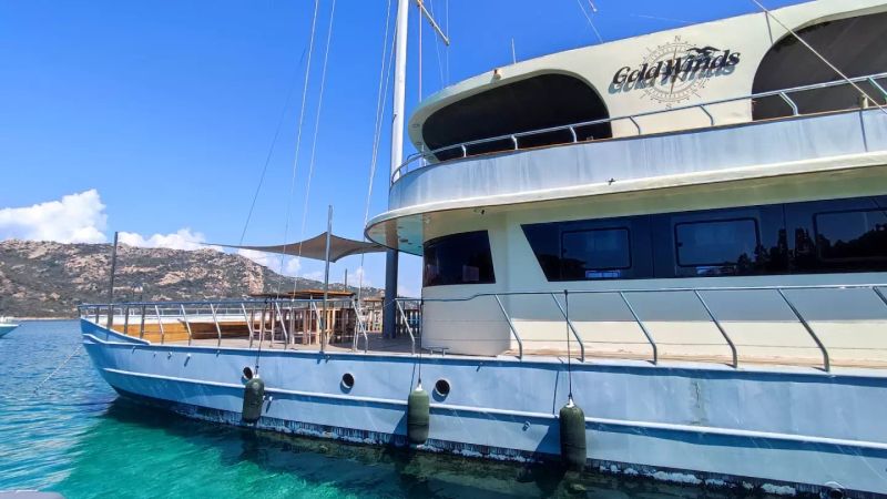 Motor Sailer 110 | Gold Wind
