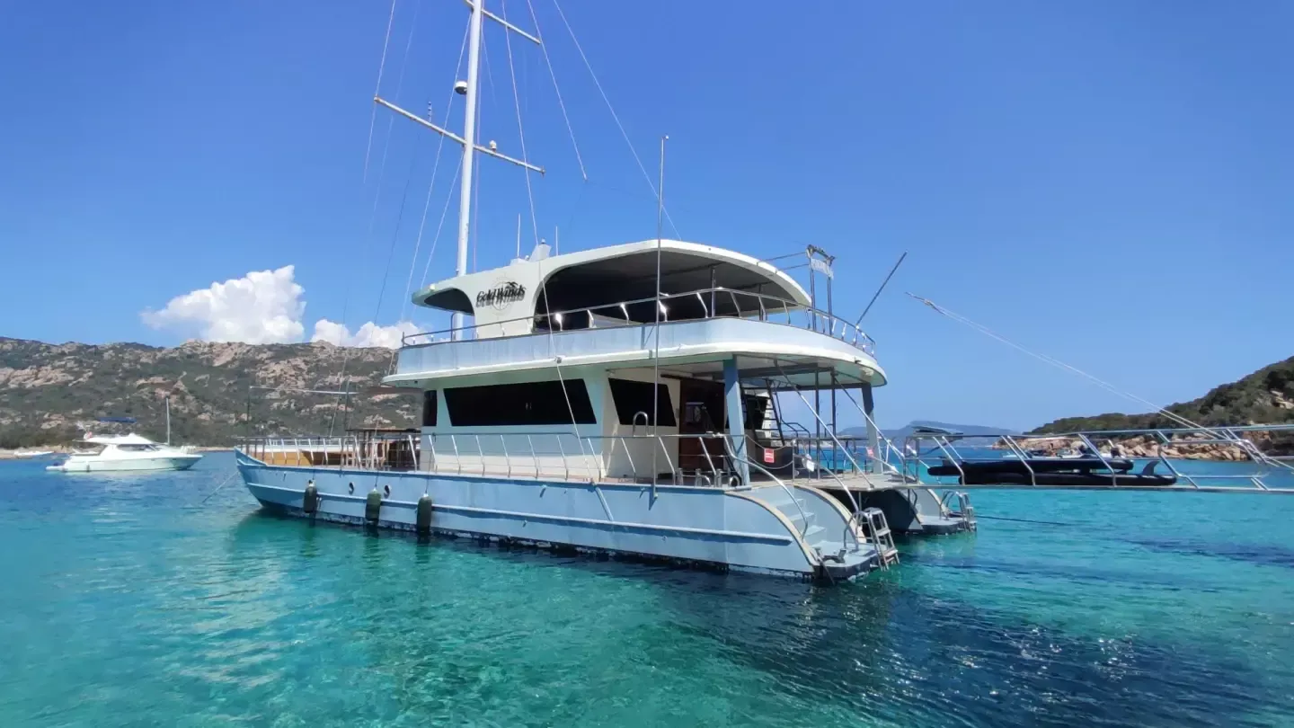 Motor Sailer 110 | Gold Wind