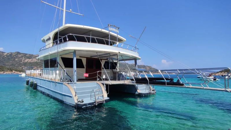 Motor Sailer 110 | Gold Wind