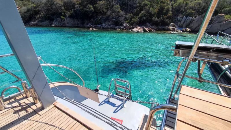 Motor Sailer 110 | Gold Wind