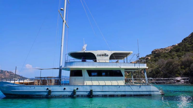 Motor Sailer 110 | Gold Wind