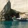Cobra RIB Boat Royal | Wave Rider