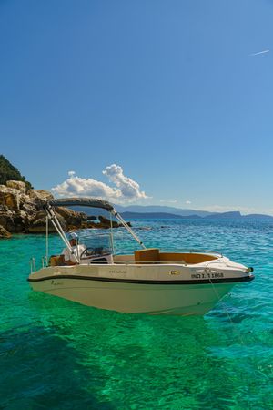 Nireus 490 | Ino