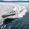 Sealine S335 | Felicita