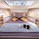 Sealine S335 | Felicita