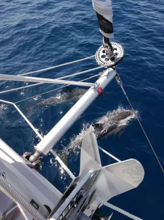 Lagoon 40 | Icaro