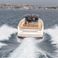 Pardo 50 | Southern Comfort