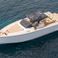 Pardo 50 | Southern Comfort