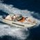 Invictus 240 | Blue Jasmine