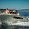 Invictus 240 | Blue Jasmine