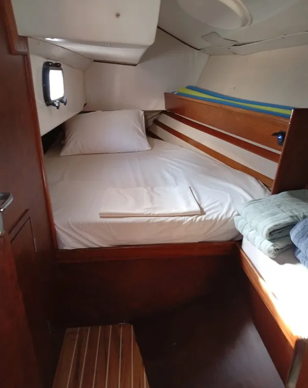 Dromor Apollo 12 | Olivia