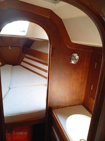 Dromor Apollo 12 | Olivia
