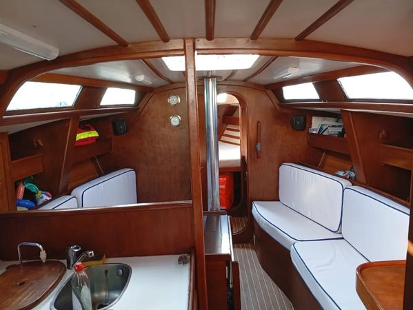Dromor Apollo 12 | Olivia