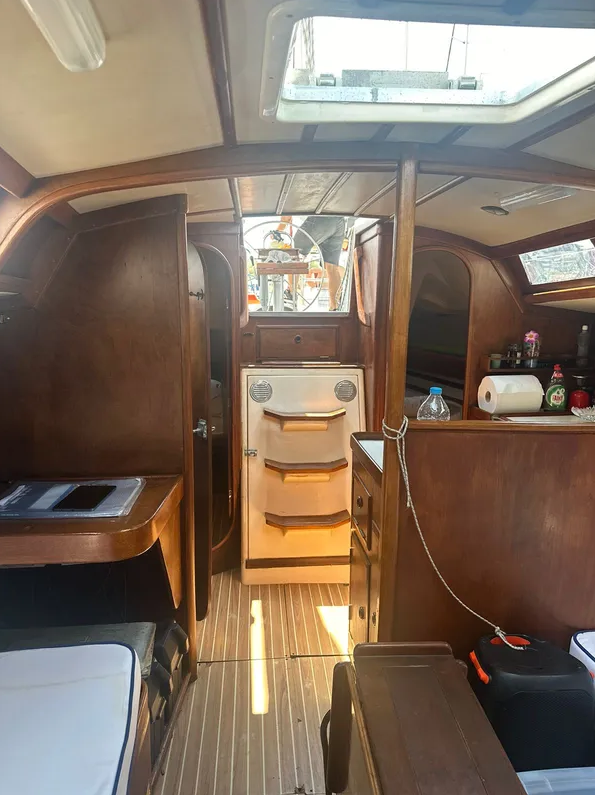 Dromor Apollo 12 | Olivia