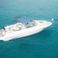 Sea Ray 260 | Baby