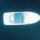 Sea Ray 260 | Baby