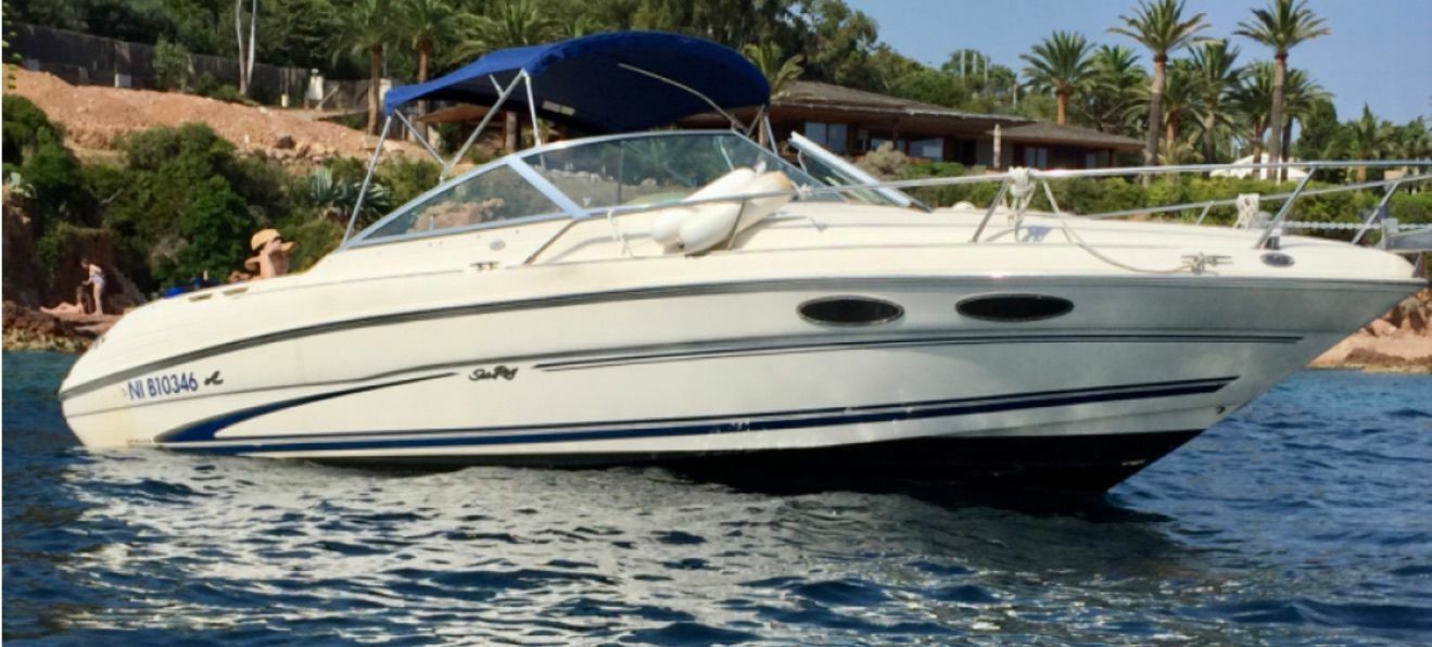 Sea Ray 260 | Baby