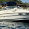 Sea Ray 260 | Baby