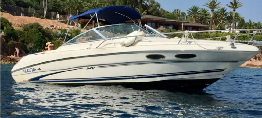 Sea Ray 260 | Baby