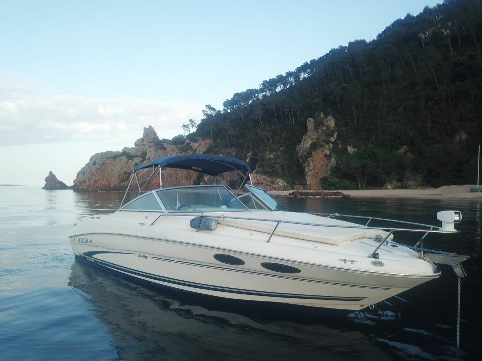 Sea Ray 260 | Baby