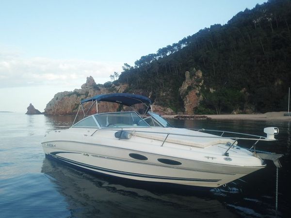 Sea Ray 260 | Baby