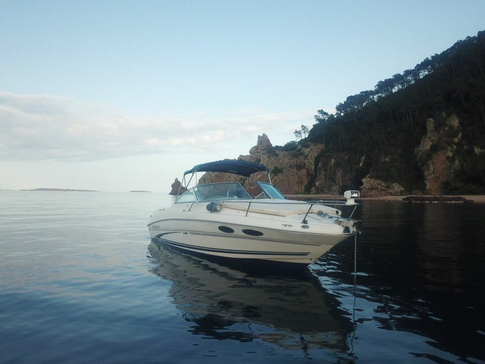 Sea Ray 260 | Baby