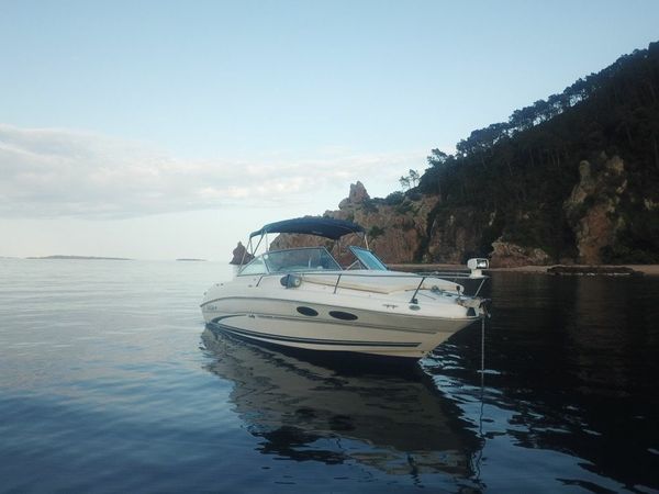 Sea Ray 260 | Baby