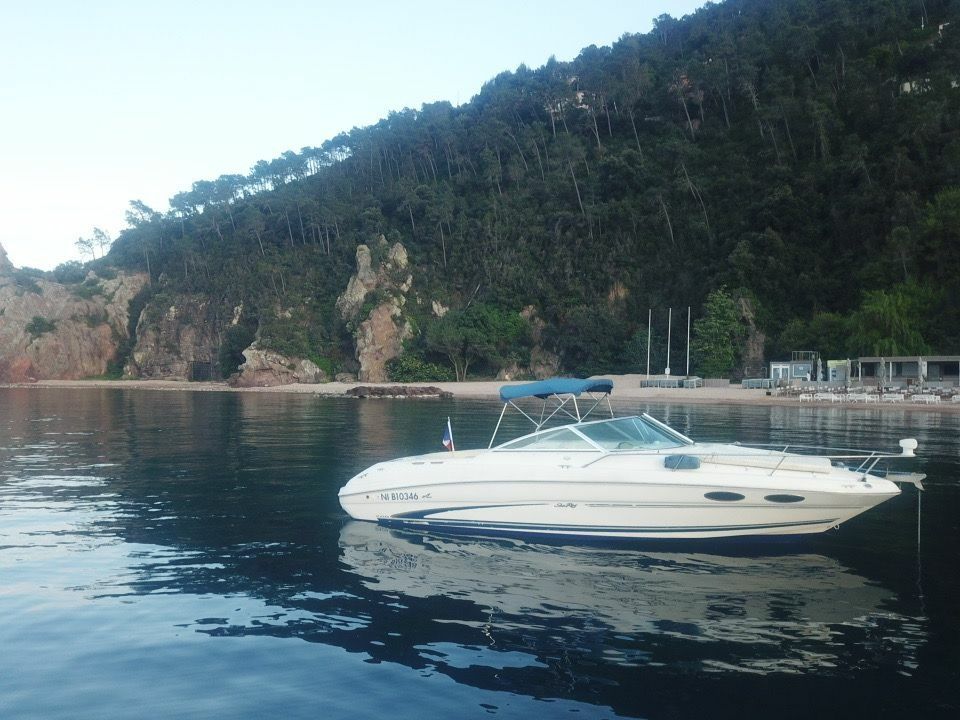 Sea Ray 260 | Baby