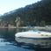 Sea Ray 260 | Baby