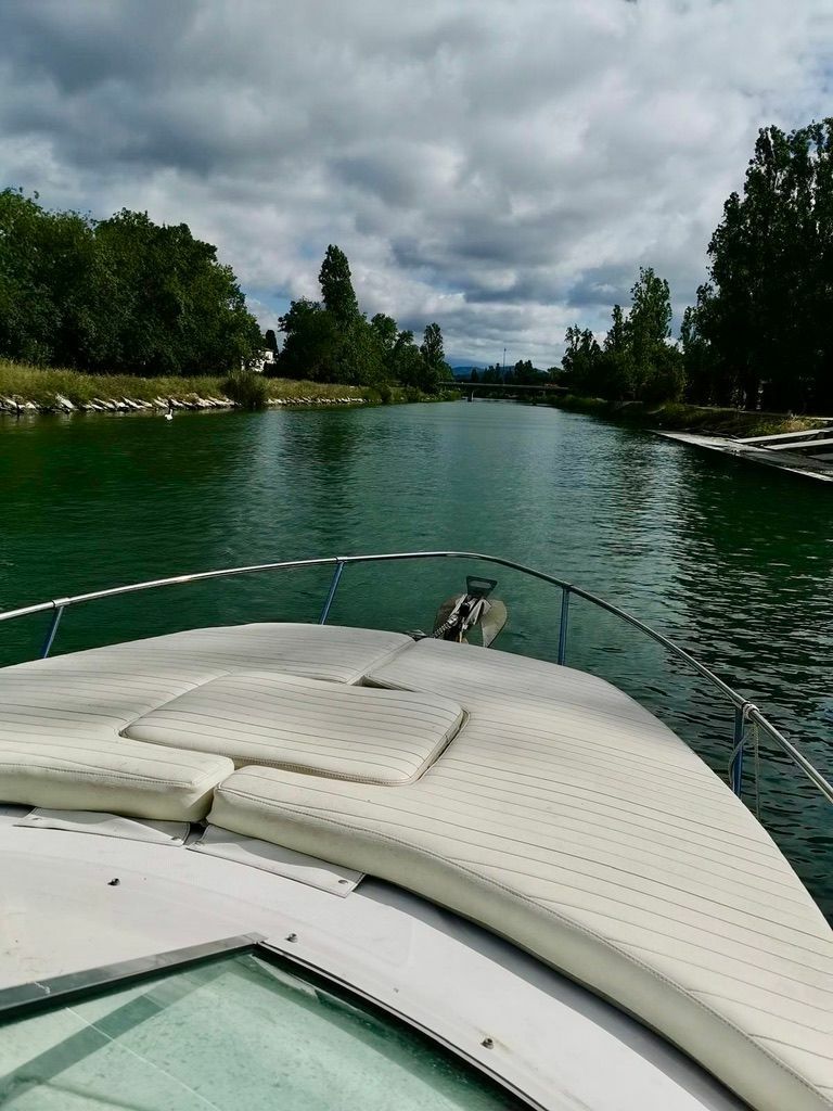 Sea Ray 260 | Baby