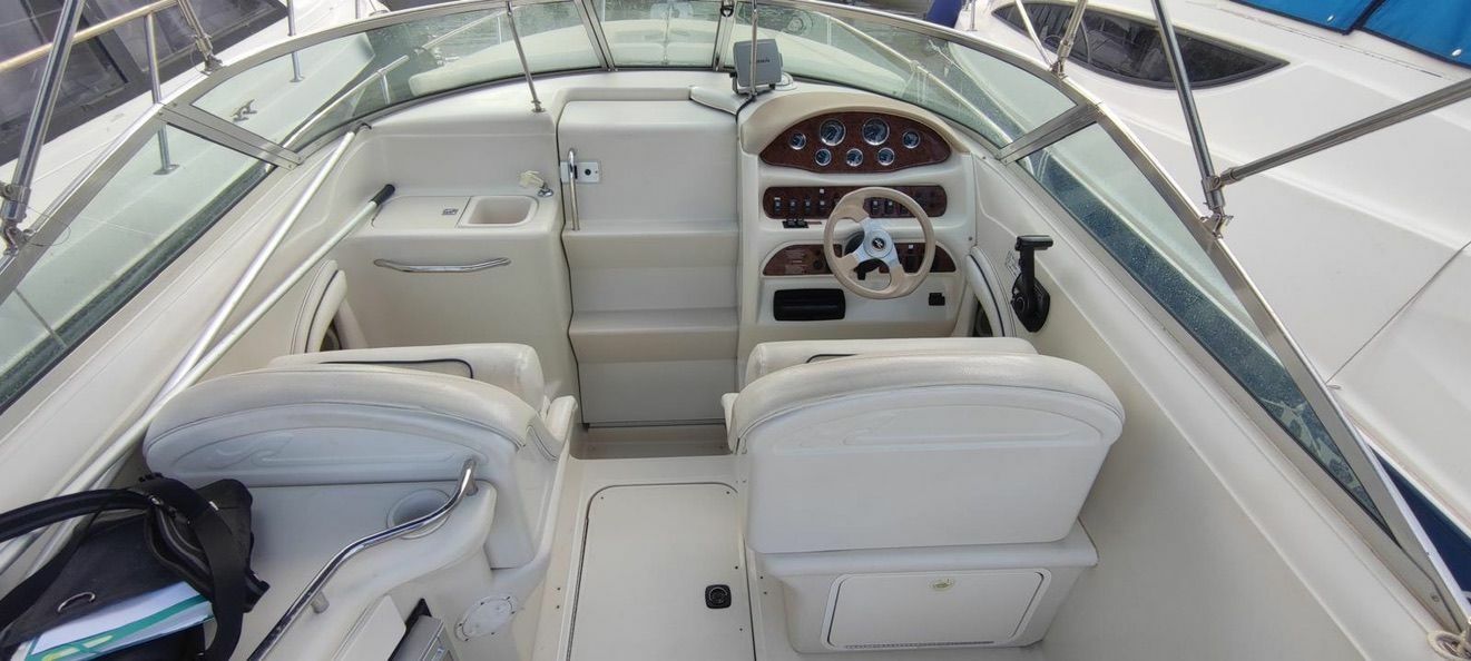 Sea Ray 260 | Baby