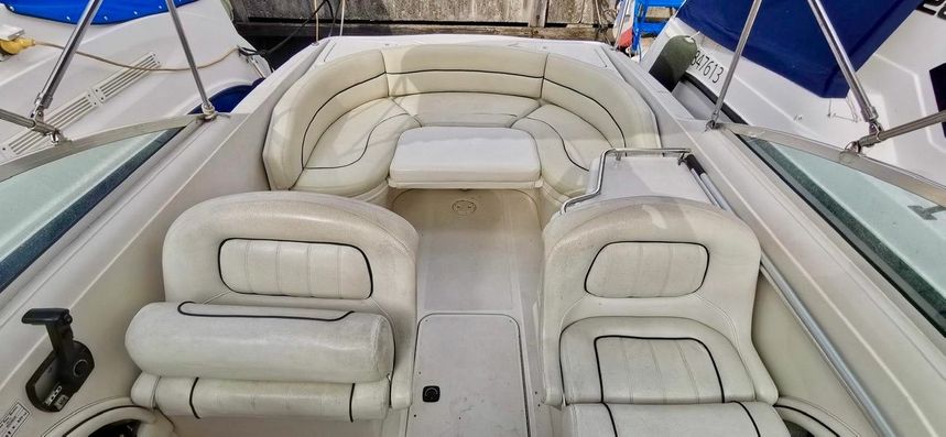 Sea Ray 260 | Baby