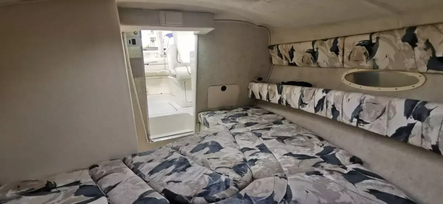 Sea Ray 260 | Baby