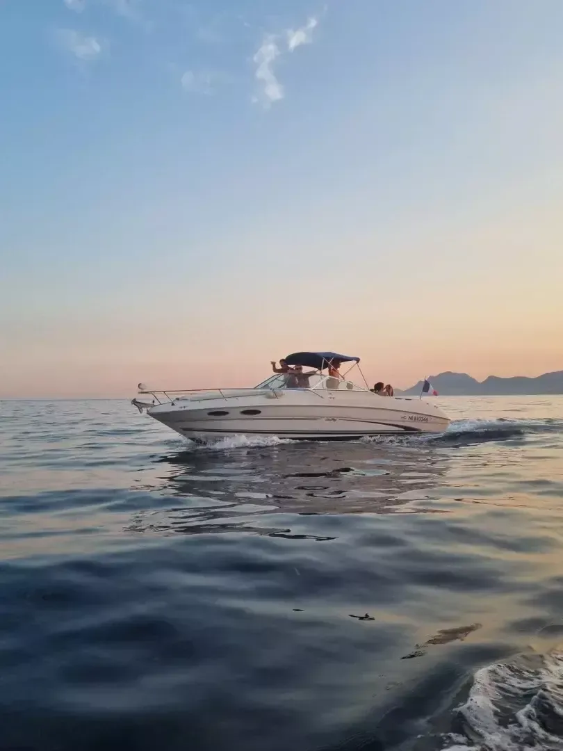 Sea Ray 260 | Baby