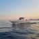 Sea Ray 260 | Baby