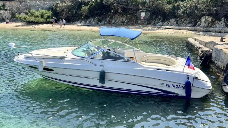 Sea Ray 260 | Baby