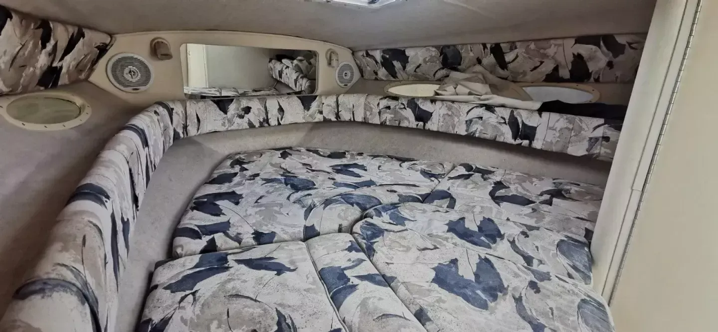 Sea Ray 260 | Baby