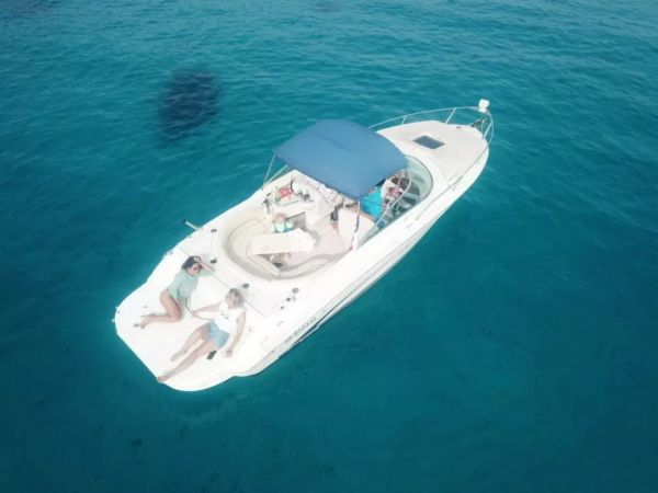 Sea Ray 260 | Baby