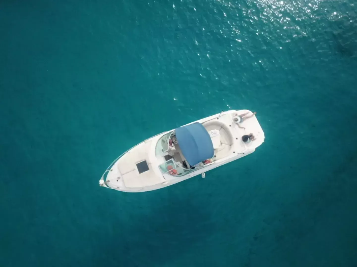 Sea Ray 260 | Baby