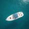 Sea Ray 260 | Baby