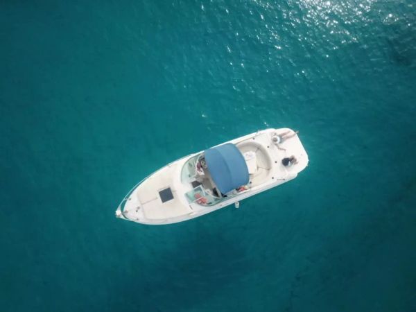 Sea Ray 260 | Baby