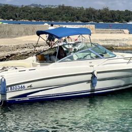 Sea Ray 260 | Baby