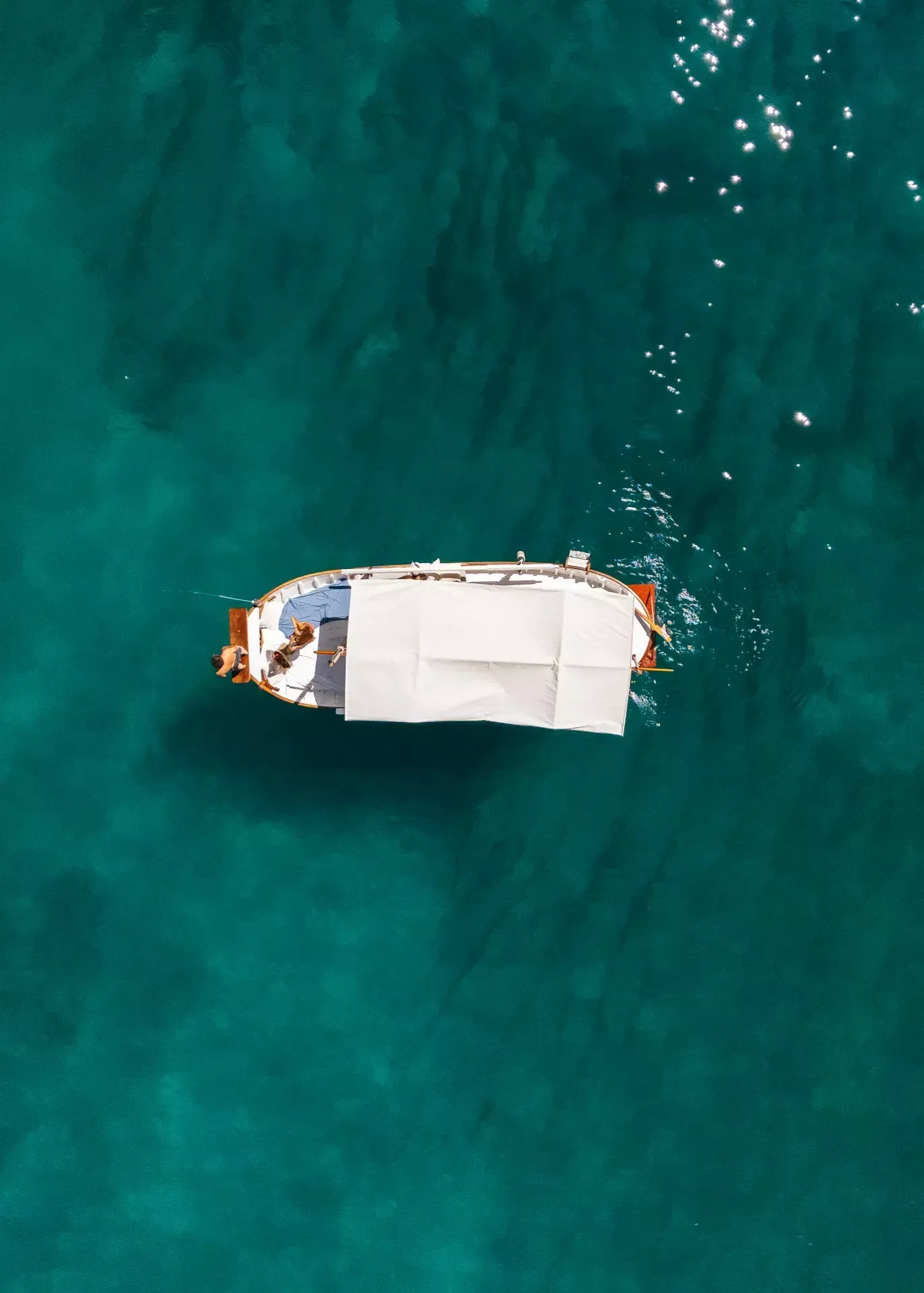 Custom Built 26 | Marc