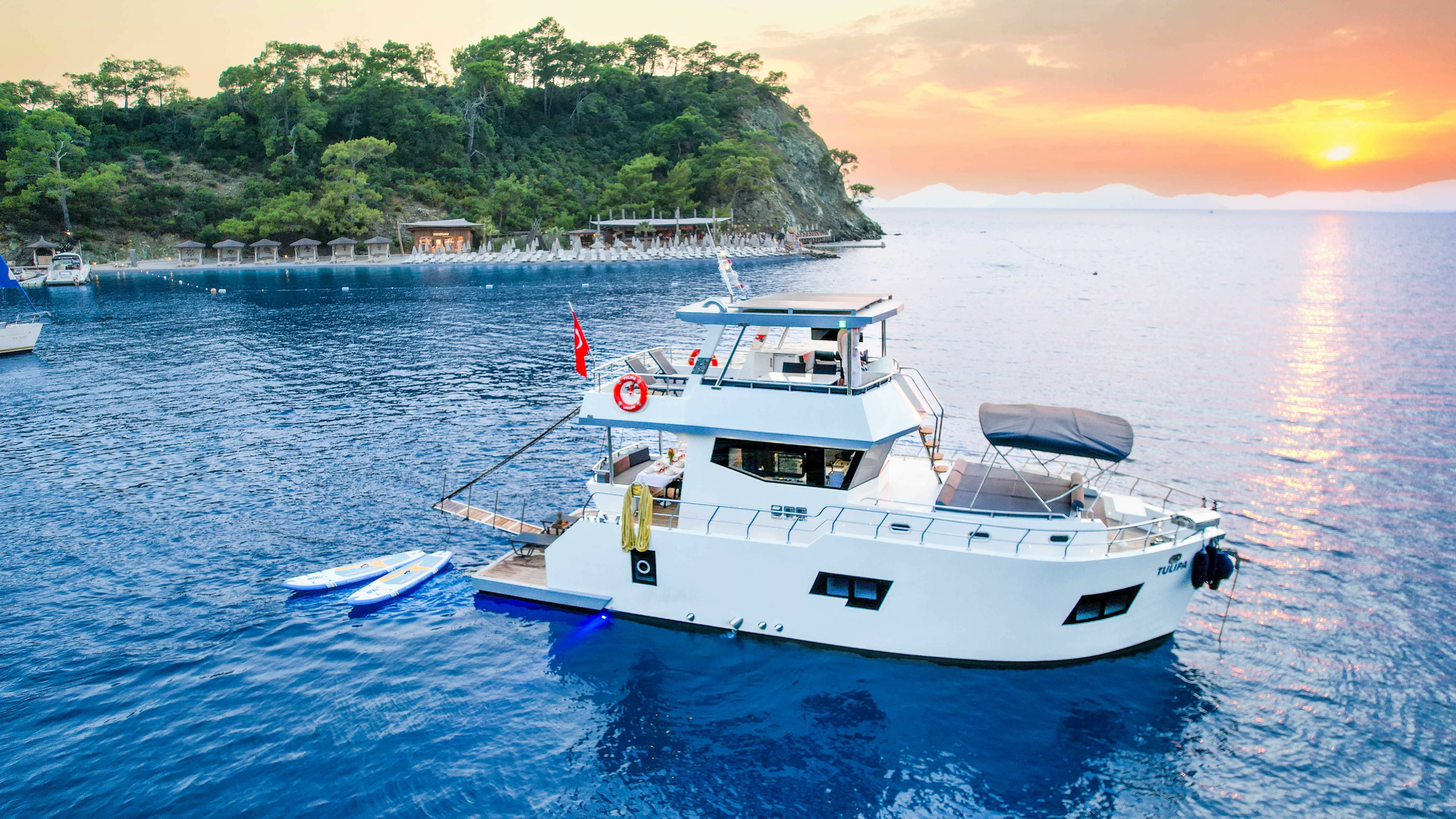 Custom Built 49 | Tulipa