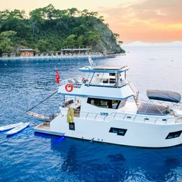 Custom Built 49 | Tulipa