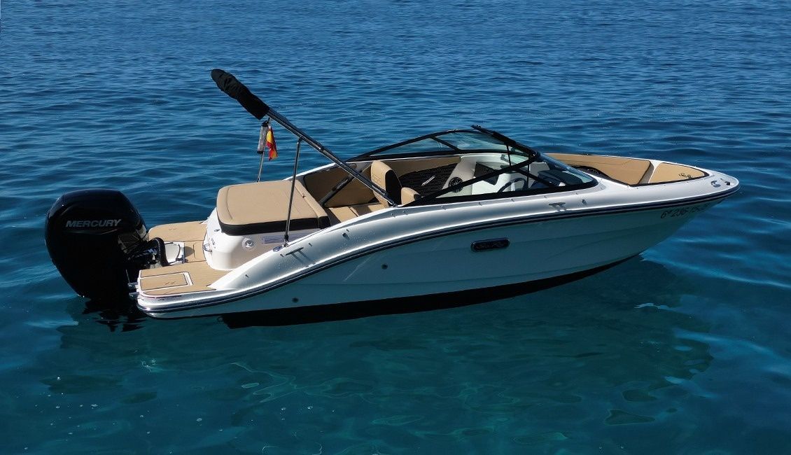 Sea Ray 190 | Malibu