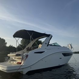 Sea Ray 265 | 19
